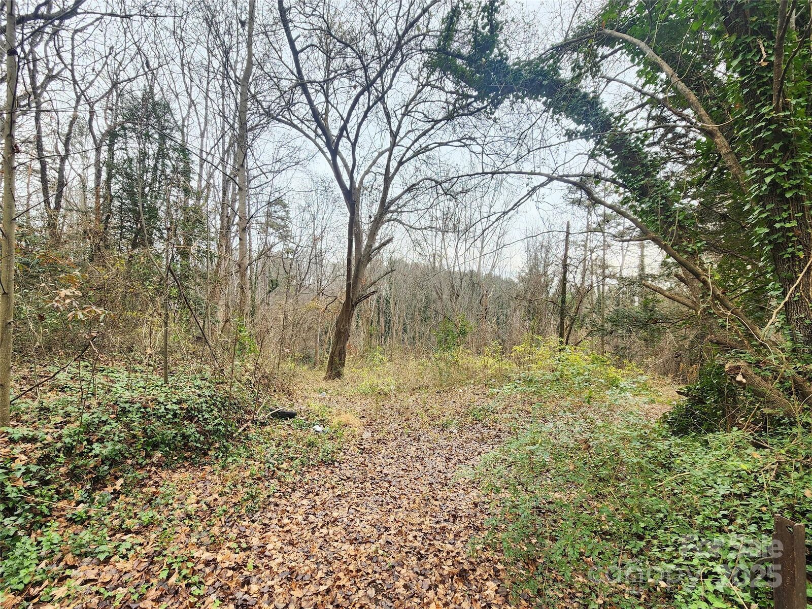 Property Photo: 0000 4th Street SW NC 28602