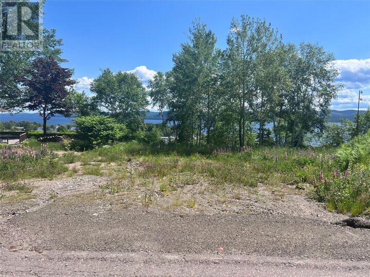 Property Photo:  36 Maple Street  NL A0J 1T0 