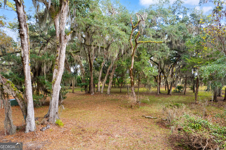 Property Photo: 0 Sutherland Bluff Drive NE GA 31331