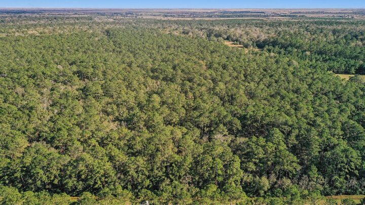 Property Photo:  Tbd 2 Highway 61  TX 77562 