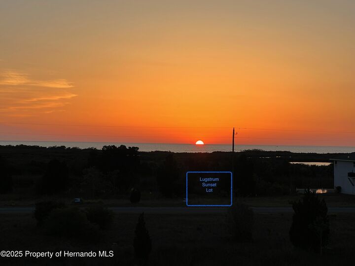 Property Photo:  Lot 19 Lugustrum Drive  FL 34607 