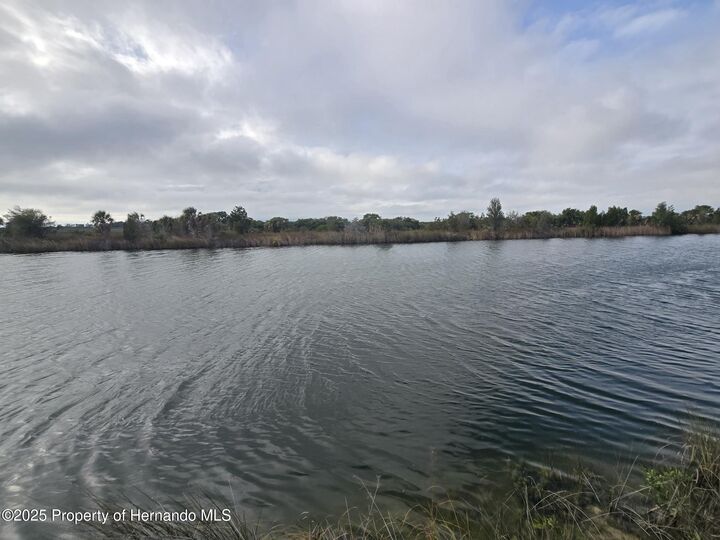 Property Photo:  Lot 19 Lugustrum Drive  FL 34607 
