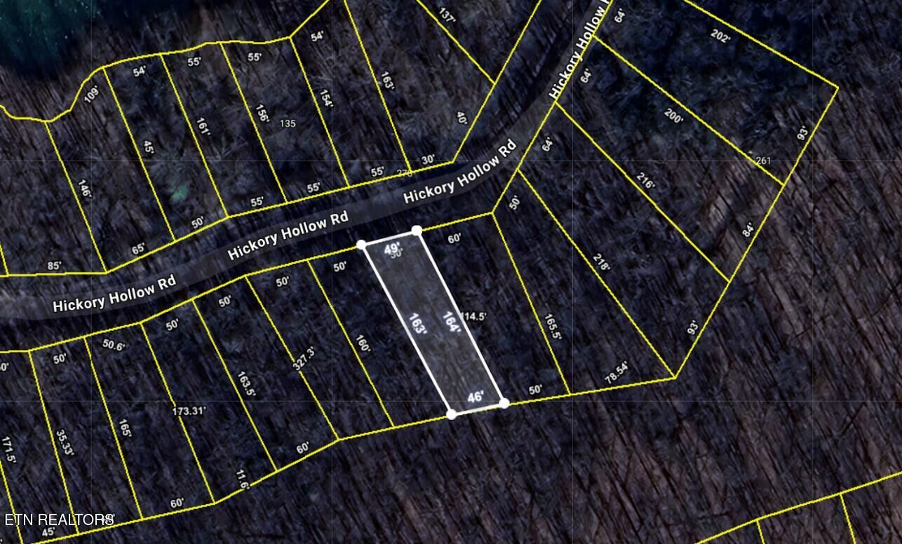 Property Photo:  0.17 Ac Hickory Hollow Rd  TN 38572 