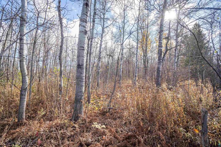 Property Photo: 42xb Stebner Rd MN 55811