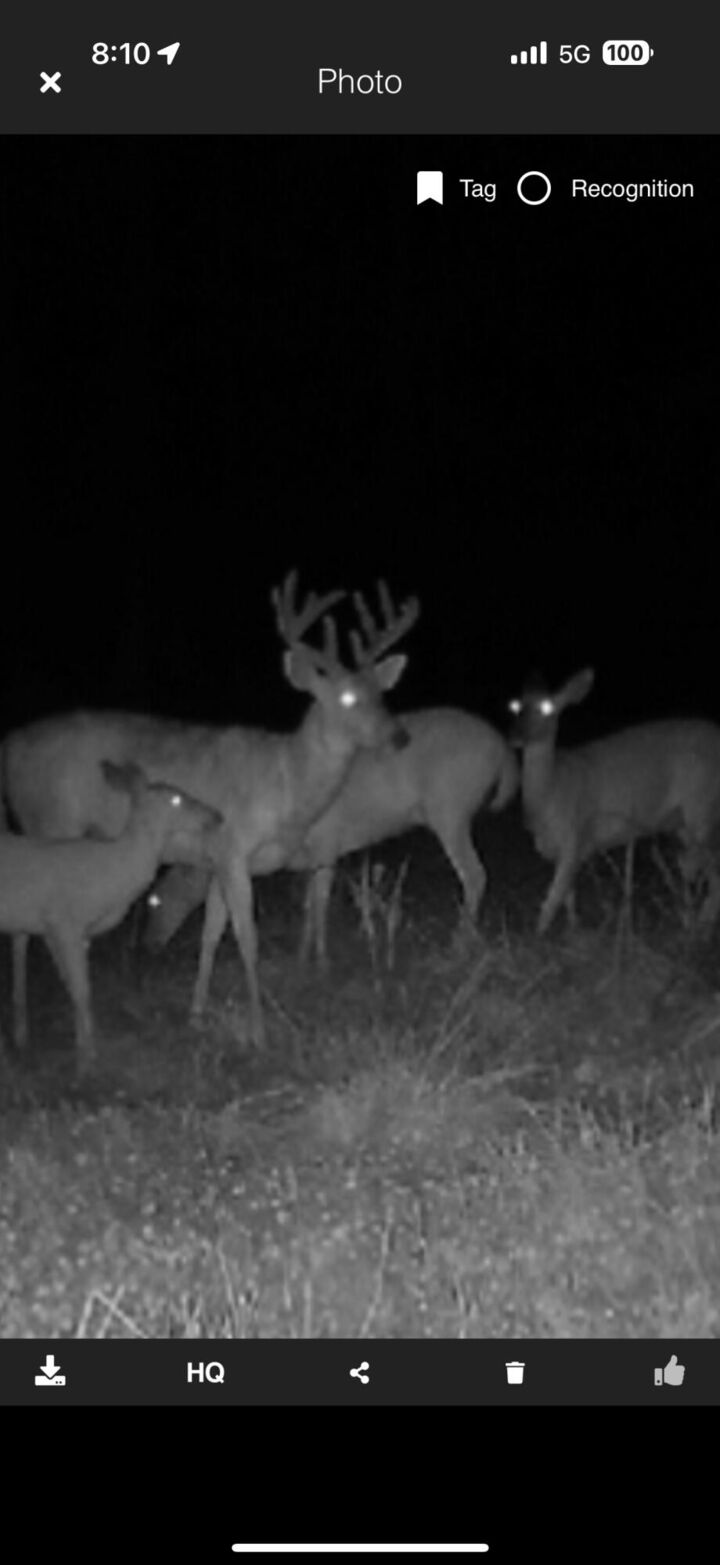 Property Photo:  490 Kelley Road  MI 49274 