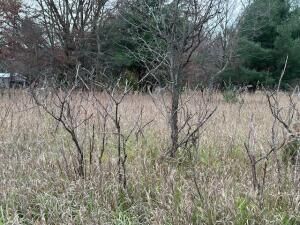 Property Photo:  Mason Drive  MI 49337 