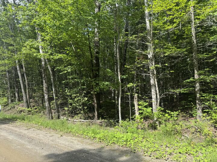 Property Photo: Lot 7 Curtis Farm Road ME 04457