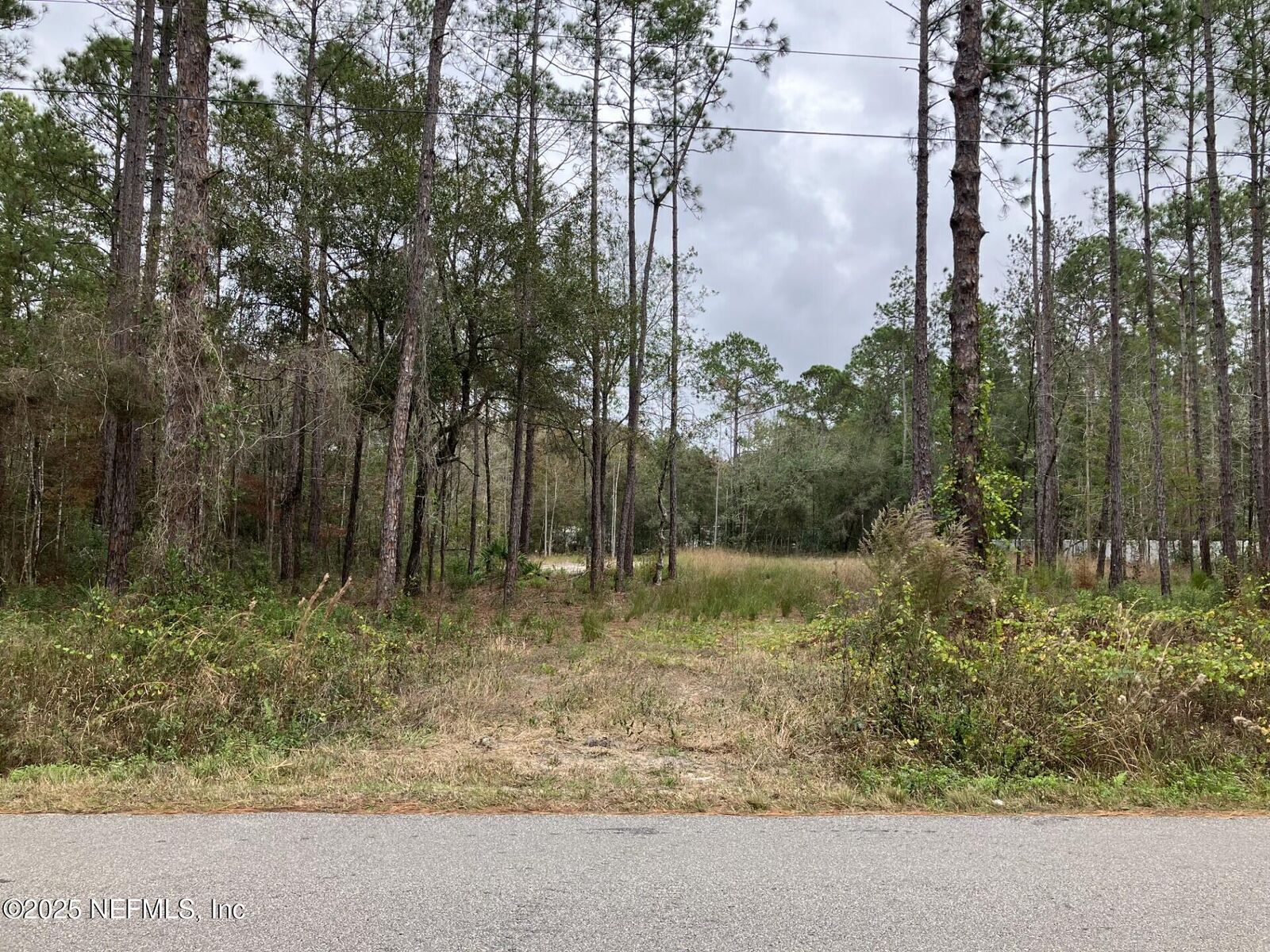 Property Photo:  10050 Ebert Avenue  FL 32145 