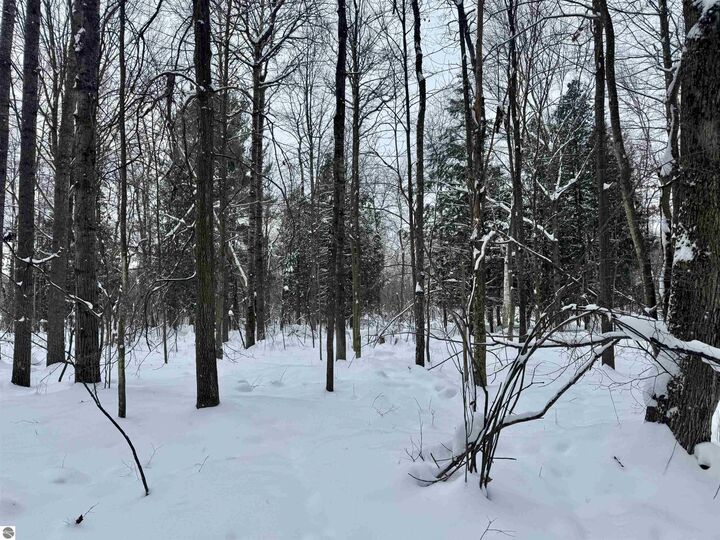 Property Photo: Parcel A 32 1/2 Road MI 49601