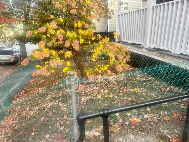 Property Photo: 163 Austin Street 2 MA 01609