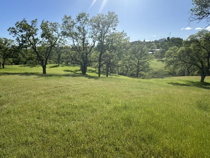 Property Photo:  22535 Rio Robles Drive  CA 96080 