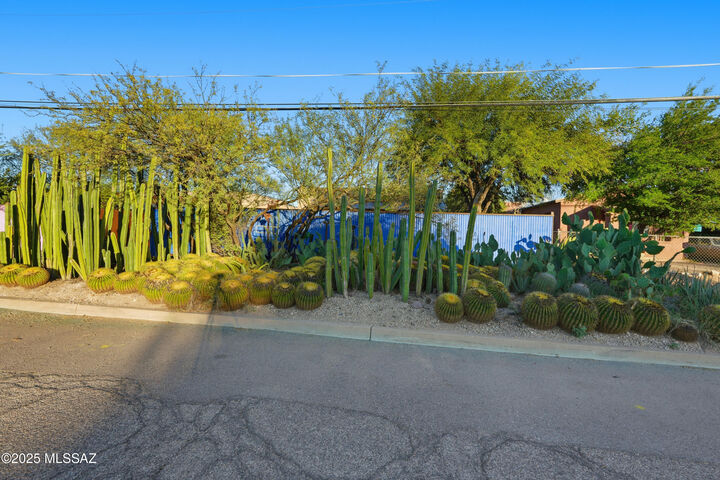 Property Photo: 825 S Fremont Avenue AZ 85719