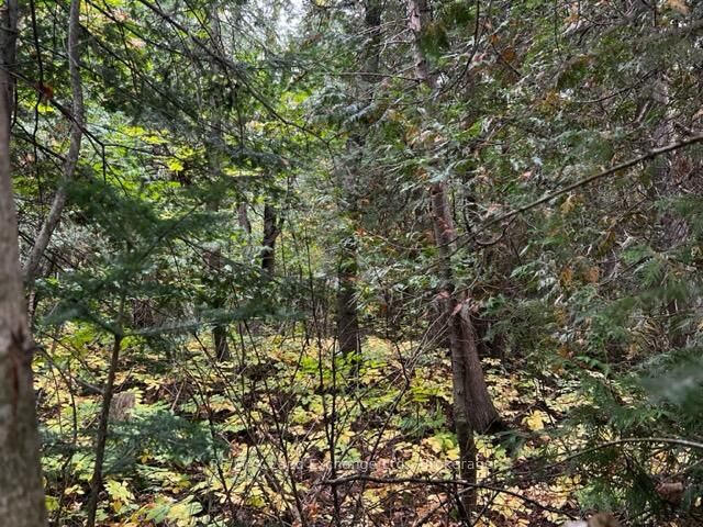 7 Shore Road — photo 1