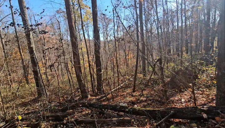 Property Photo:  0000 Spankem Branch Rd  KY 41230 