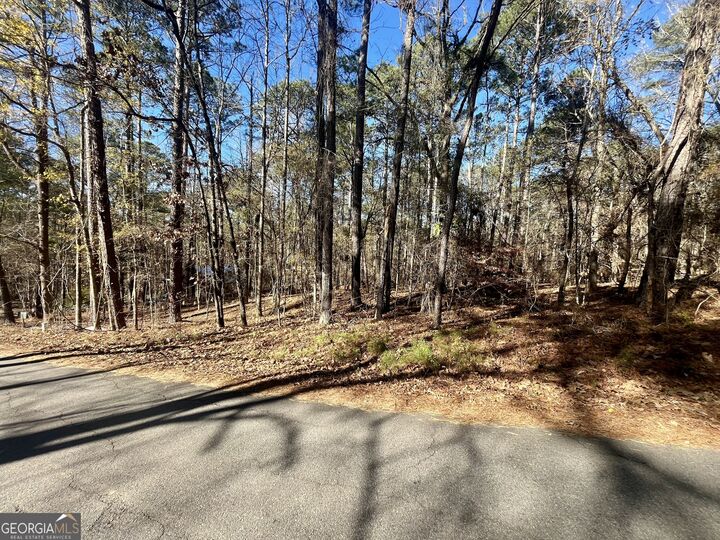 Property Photo:  0 Warbler Lane Lot 59  GA 31064 