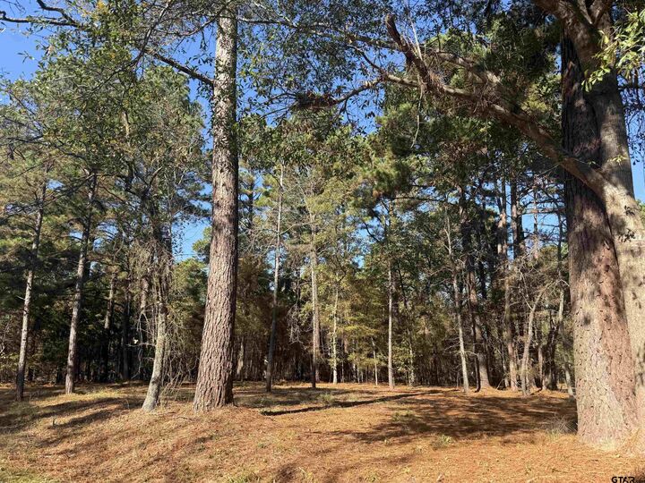 Property Photo: 186 Susan Dr TX 75757