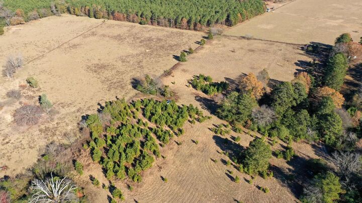 Property Photo: 1156 Fm 1399 TX 75563-0000