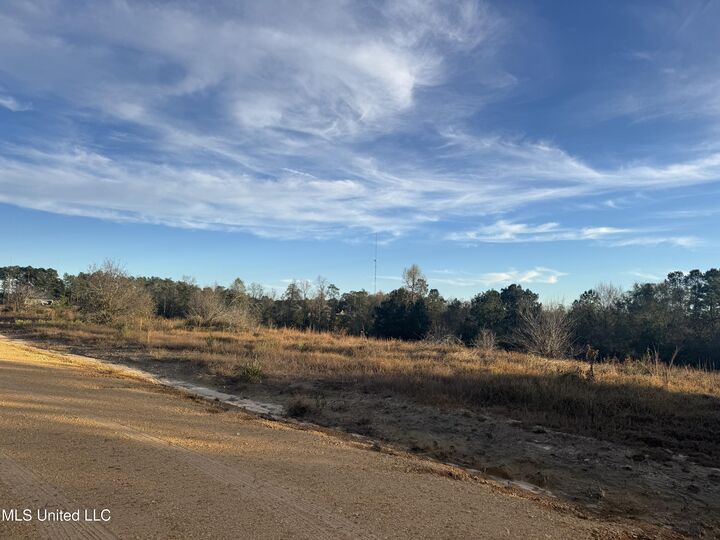 Property Photo:  8 Acres Parker Rd  MS 39561 
