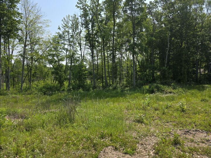 Property Photo: 9421 Sassafras Trail MI 49002