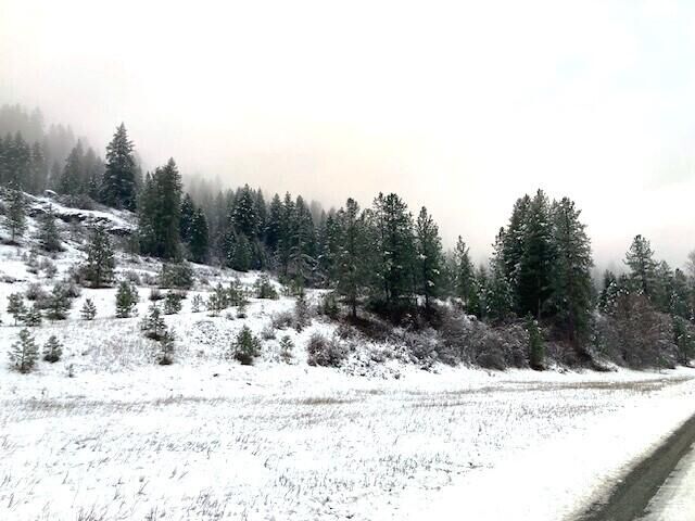 Property Photo: 35xx Rockcut Rd WA 99141