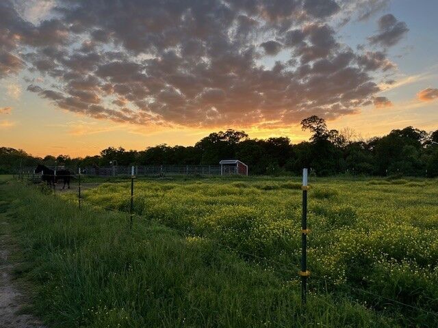 Property Photo: 2.0 Acres E McNelly Road AR 72712