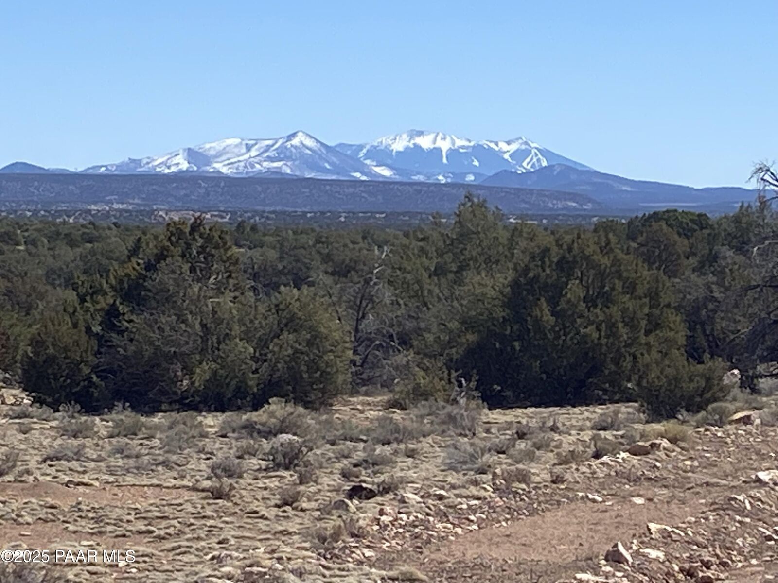 Property Photo:  9696 Mineral Wells Road  AZ 86046 