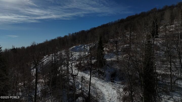 Property Photo: 10215 N Basin Canyon Road UT 84098