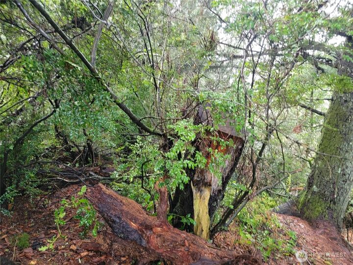 Property Photo:  1543  Dicks Lane  WA 98595 