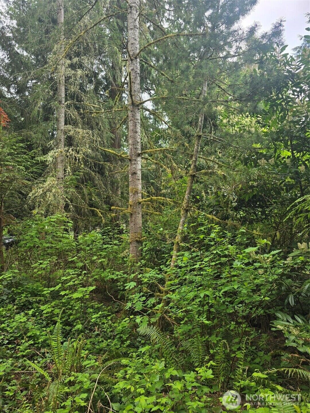 Property Photo: 41 E Isabella WA 98528