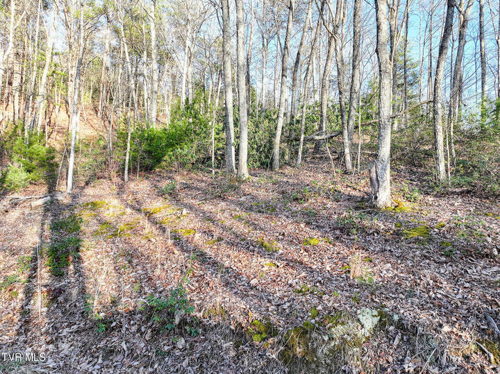 Property Photo: Tbd Black Oak Dr TN 37876