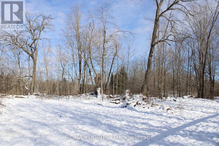 Property Photo:  494 Twin Sister Lakes Road  ON K0K 2M0 