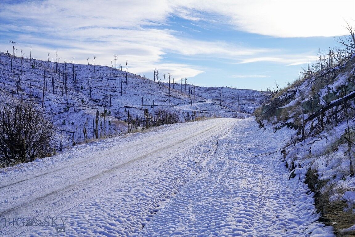 Property Photo: Tbd Lot#222 Coyote Pass MT 59019