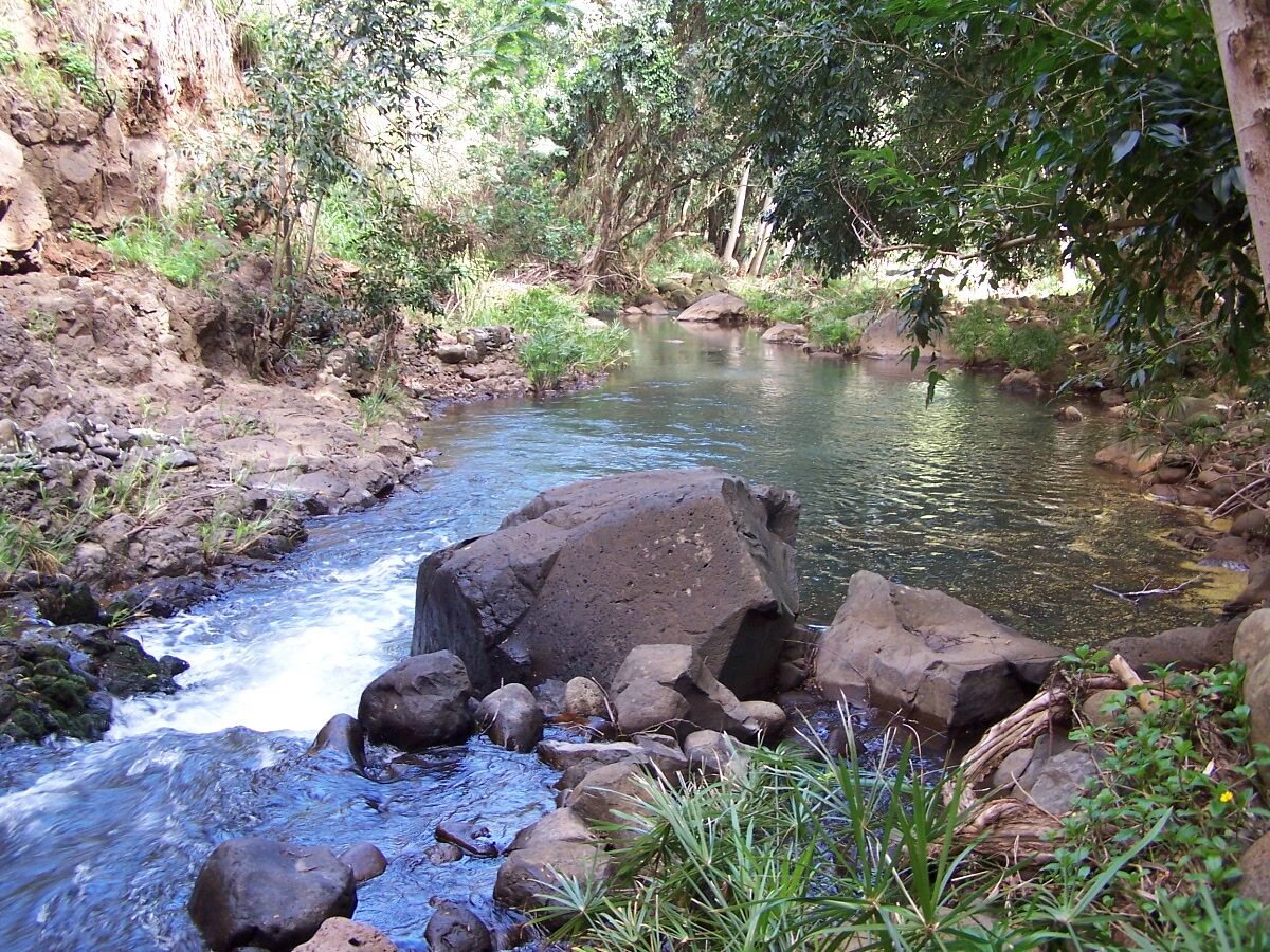 Property Photo:  201 Anahola Valley Rd  HI 96703 