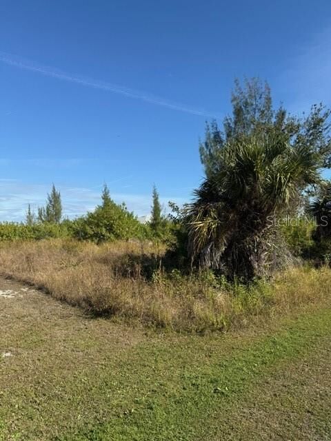 Property Photo:  15309 Taurus Circle  FL 33981 