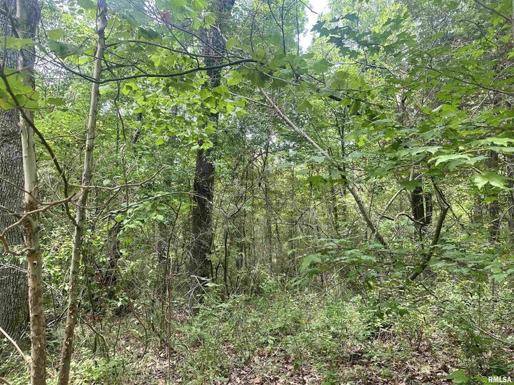 Property Photo:  000 Knob Creek Road  IL 62903 