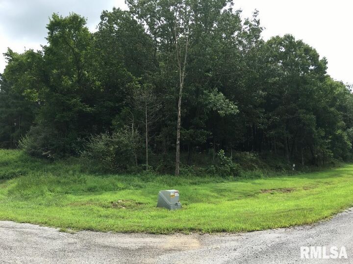 Property Photo: Lot 287 Parrish Ridge Lane IL 62972