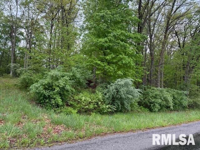 Property Photo:  Tbd Country Club Road  IL 62959 