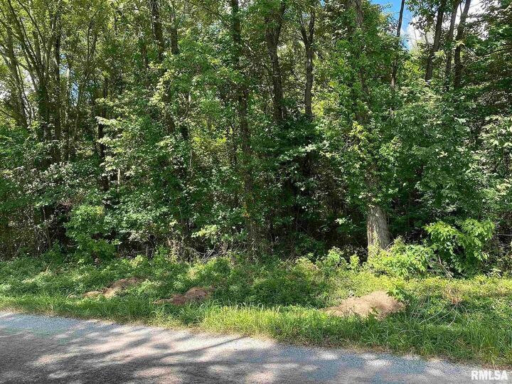 Property Photo:  0000 4th Street  IL 62814 