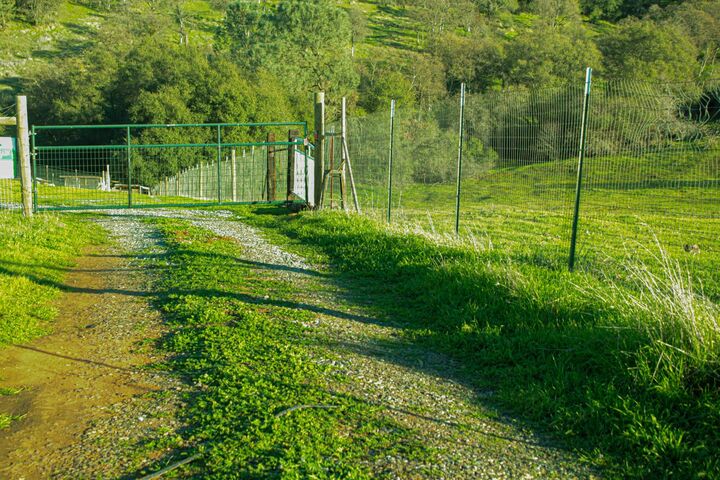 Property Photo:  2296 Azucena Court  CA 95329 