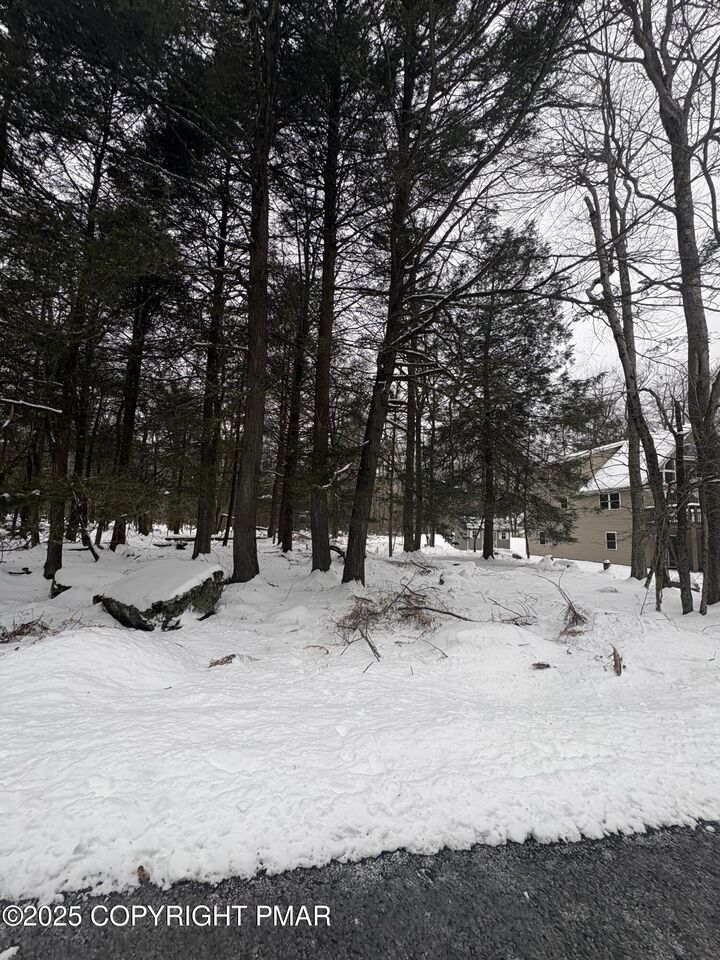 Property Photo: 36 Old Silver Mine Trail PA 18424