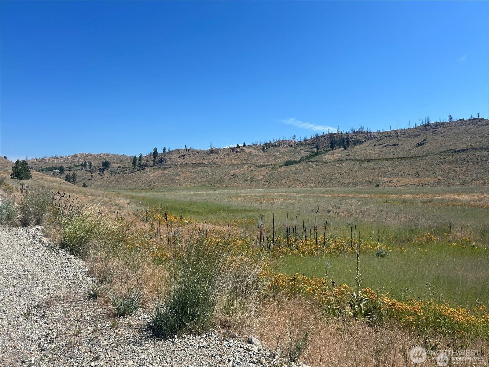 Property Photo:  4  Crest Drive  WA 98844 