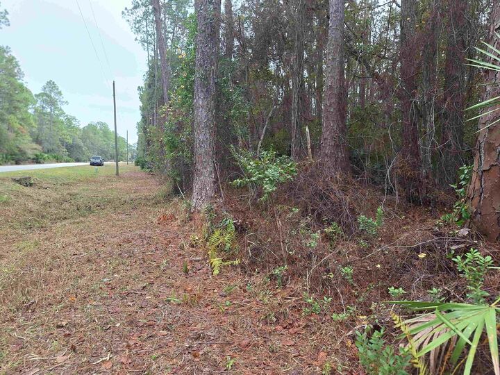 Property Photo: 159 Lakeway Dr FL 32139