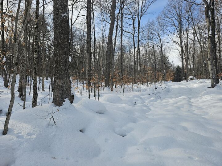 Property Photo:  (Lot 2)490 Marshall Drive  NY 12953 