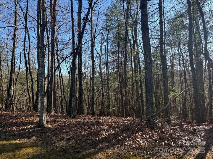 Property Photo: V/L Spanish Oak Drive 9 NC 28718