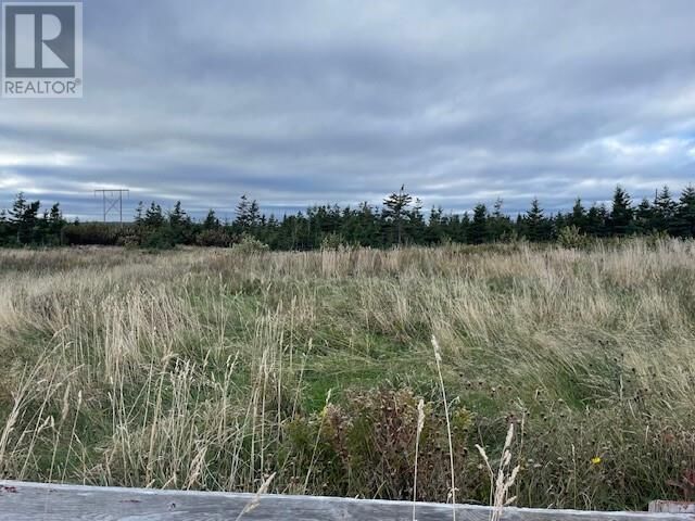 Property Photo:  Lot 3 McIsaac'S Lane  NL A0N 1T0 