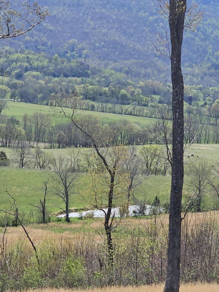 Property Photo: 495 Lower East Valley Road TN 37327
