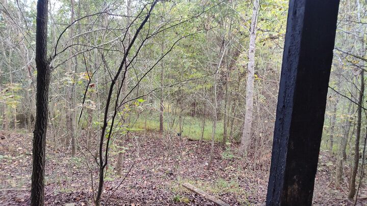 Property Photo:  691 Summertown (4.61 Acres) Road  TN 37347 