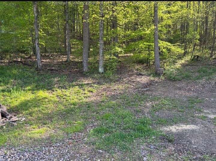 Property Photo:  25 Pinson Drive  WV 25213 