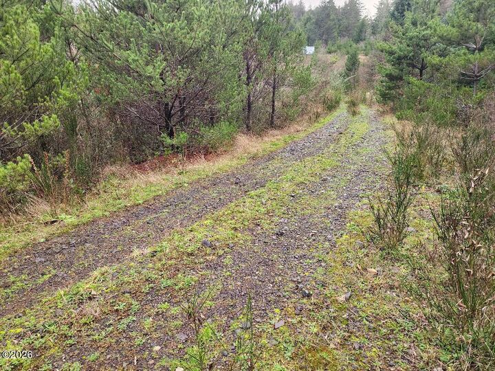 Property Photo:  Tl 110000 NW Legion Road  OR 97394 