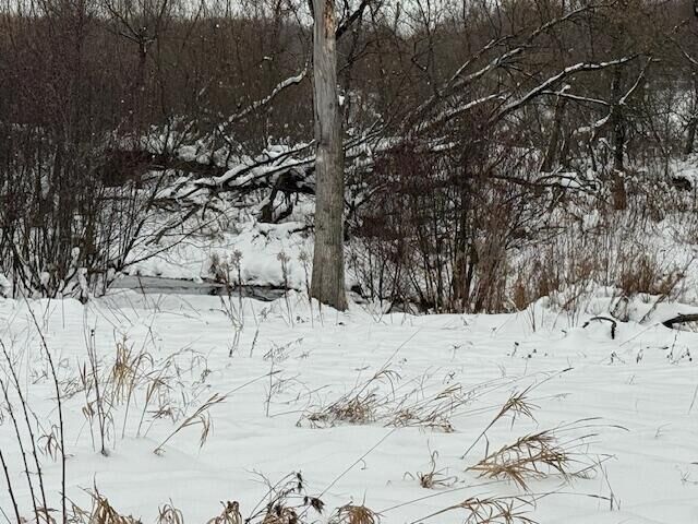 Property Photo: Apache Pass MI 49677